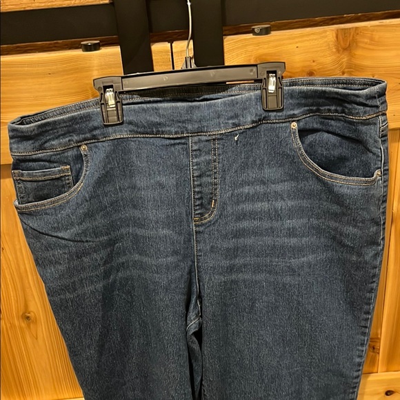 The Pioneer Woman Blue Embroidered Cropped Jeans - Picture 4 of 8